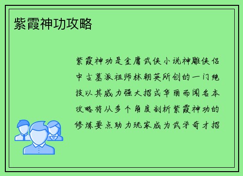 紫霞神功攻略