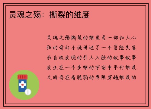 灵魂之殇：撕裂的维度