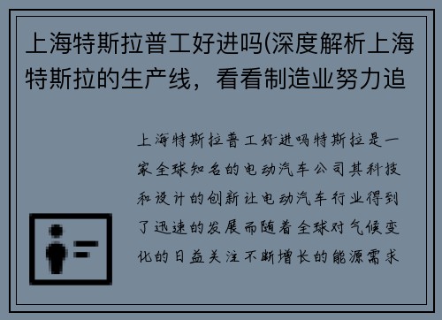 上海特斯拉普工好进吗(深度解析上海特斯拉的生产线，看看制造业努力追赶能源技术的现实。)